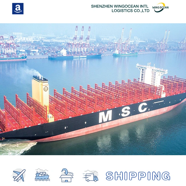 Professional Sea Forwarder Shipping Agent Freight Cost Rates China to Egypt