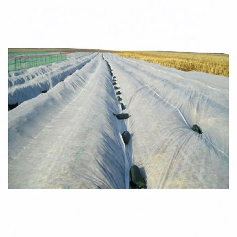 Plant Frost Protection Cover