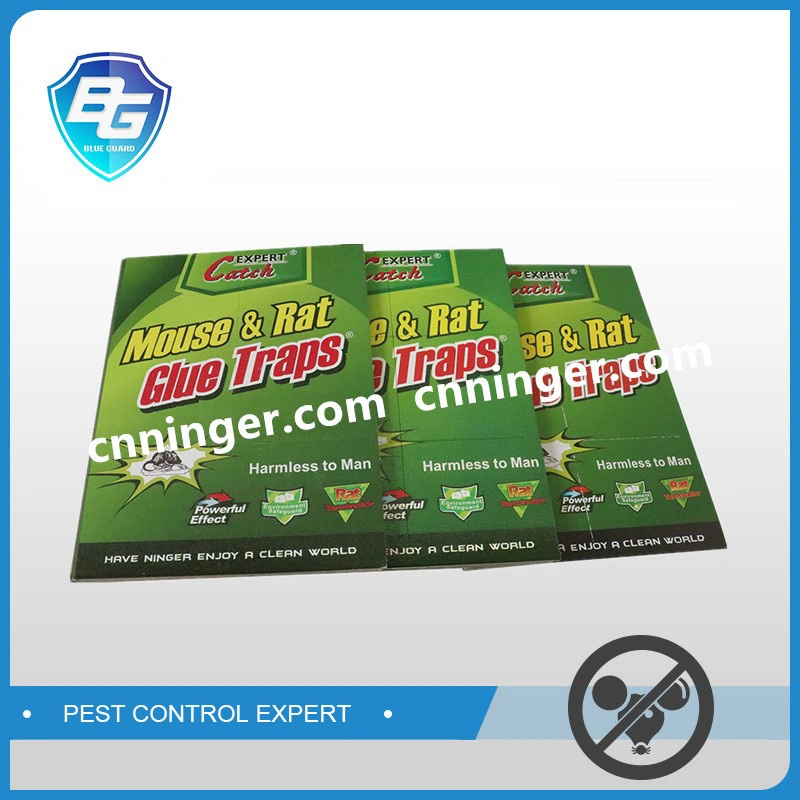 Powerful Insect Killer Rat Mouse Killer Glue Board Trap