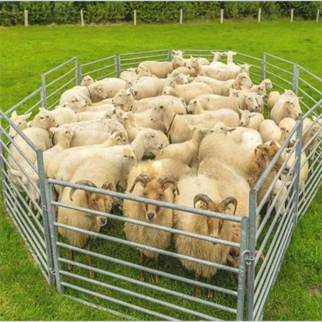 Oval Galvanized Metal Cattle Panels Popular Used in Livestock Farm Fence