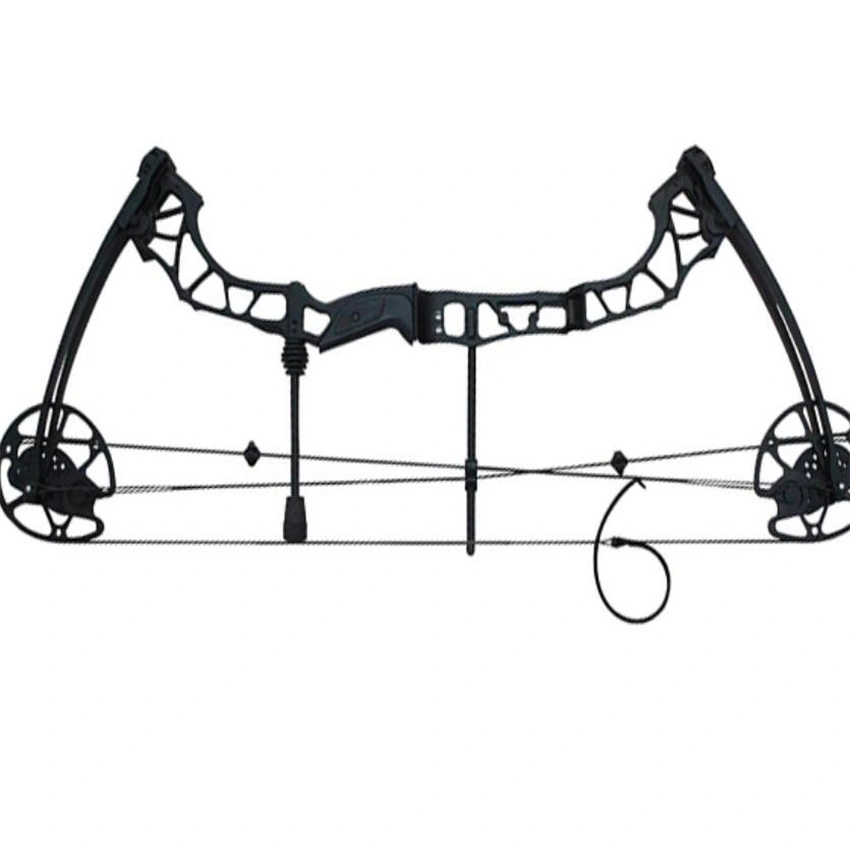 Mini Carbon Fiber Archery Compound Bow Set