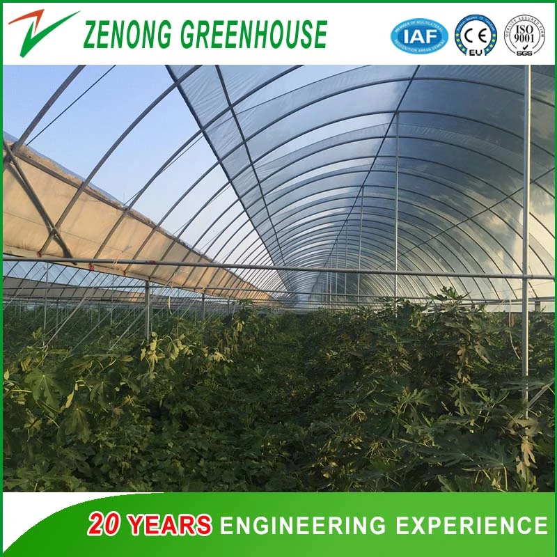 Poly-Tunnel Plastic Film Greenhouse with Ventilation Equipment