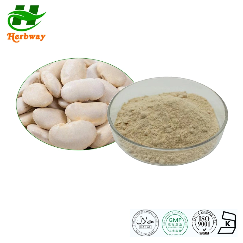 Herbway Plant Extract Enhance Memory Pharmaceutical Phaseollidin Powder White Kidney Bean Extract