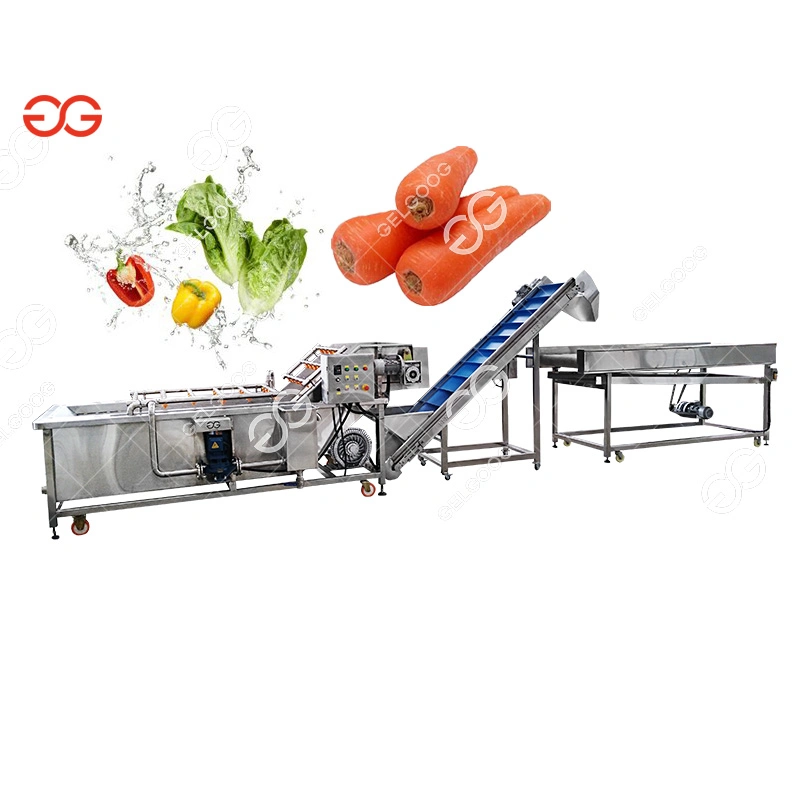 Gelgoog Guangzhou Automatic Apple Orangel Lemon Fruit Cleaning Machine Sugar Beet and Vegetable Washing Equipment