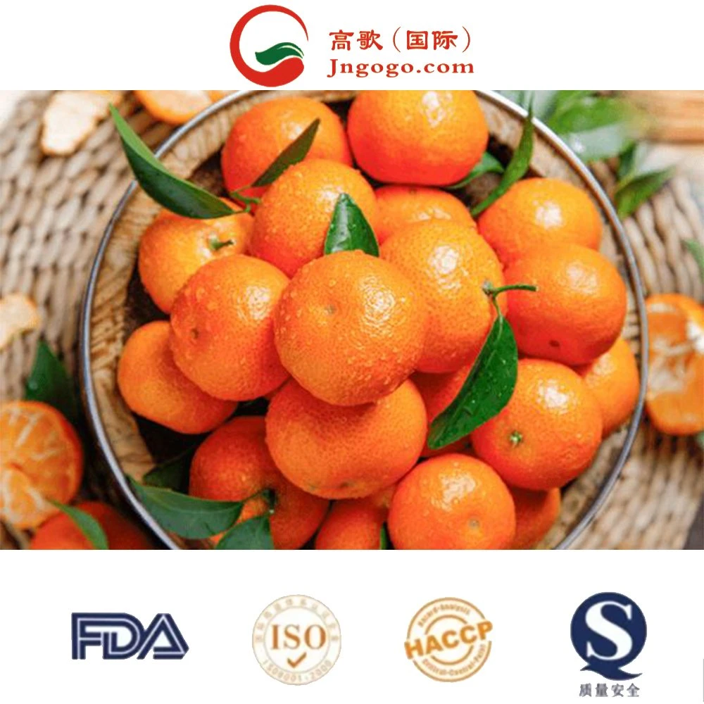 Fresh Low Price Natural Satsuma High quality/High cost performance  Sweet Tangerine