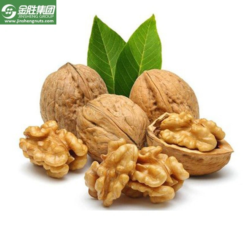 Xinjiang Origin Excellent Quality Walnuts in Shell at Wholesale/Supplier Price