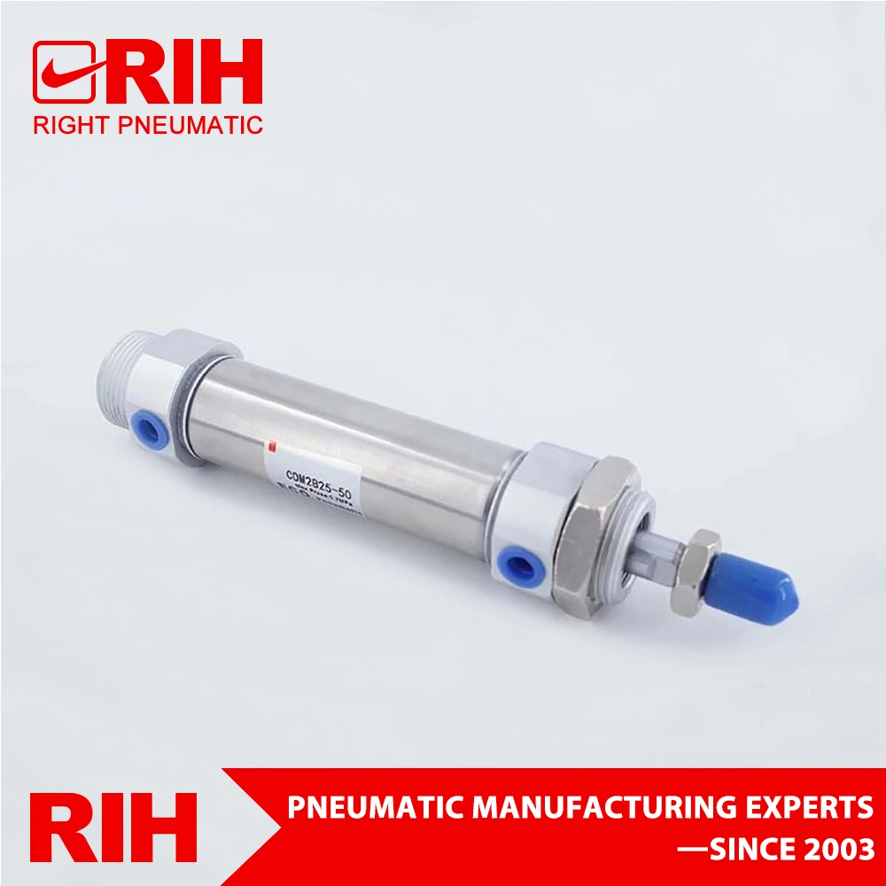 Rih Cm2bseries Guide Double-Shaft Twin-Rod Air Pneumatic Cylinder