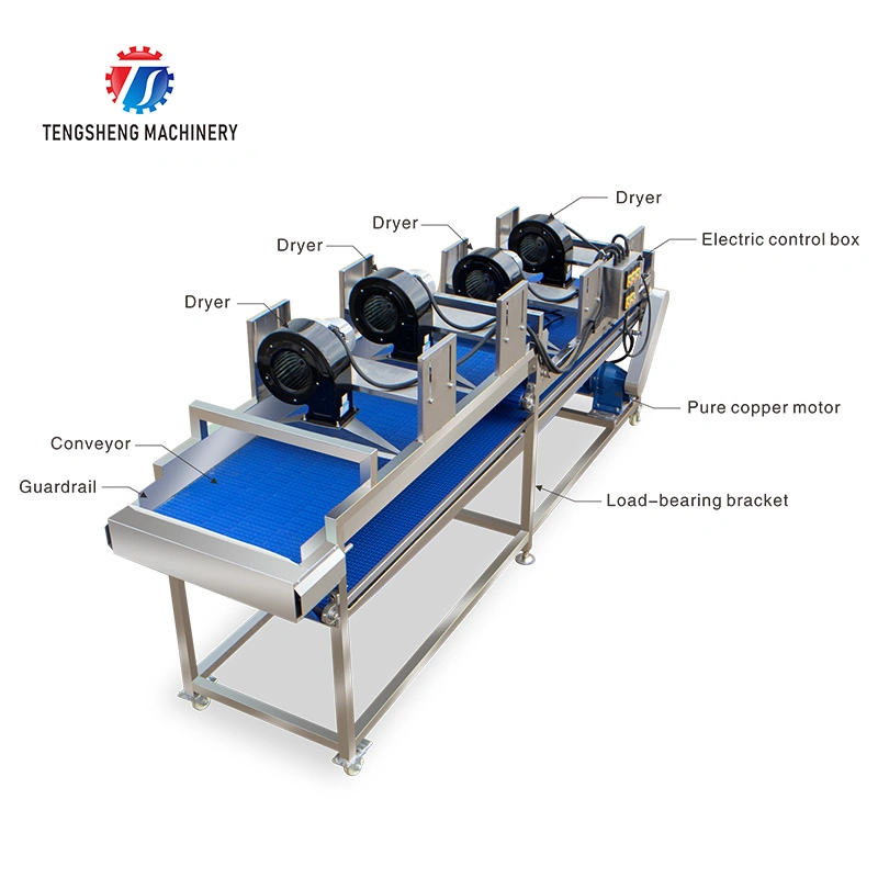 Desregar equipamento de desidratação para alimentos Máquina de secagem de correia de malha vegetal TS-FX35