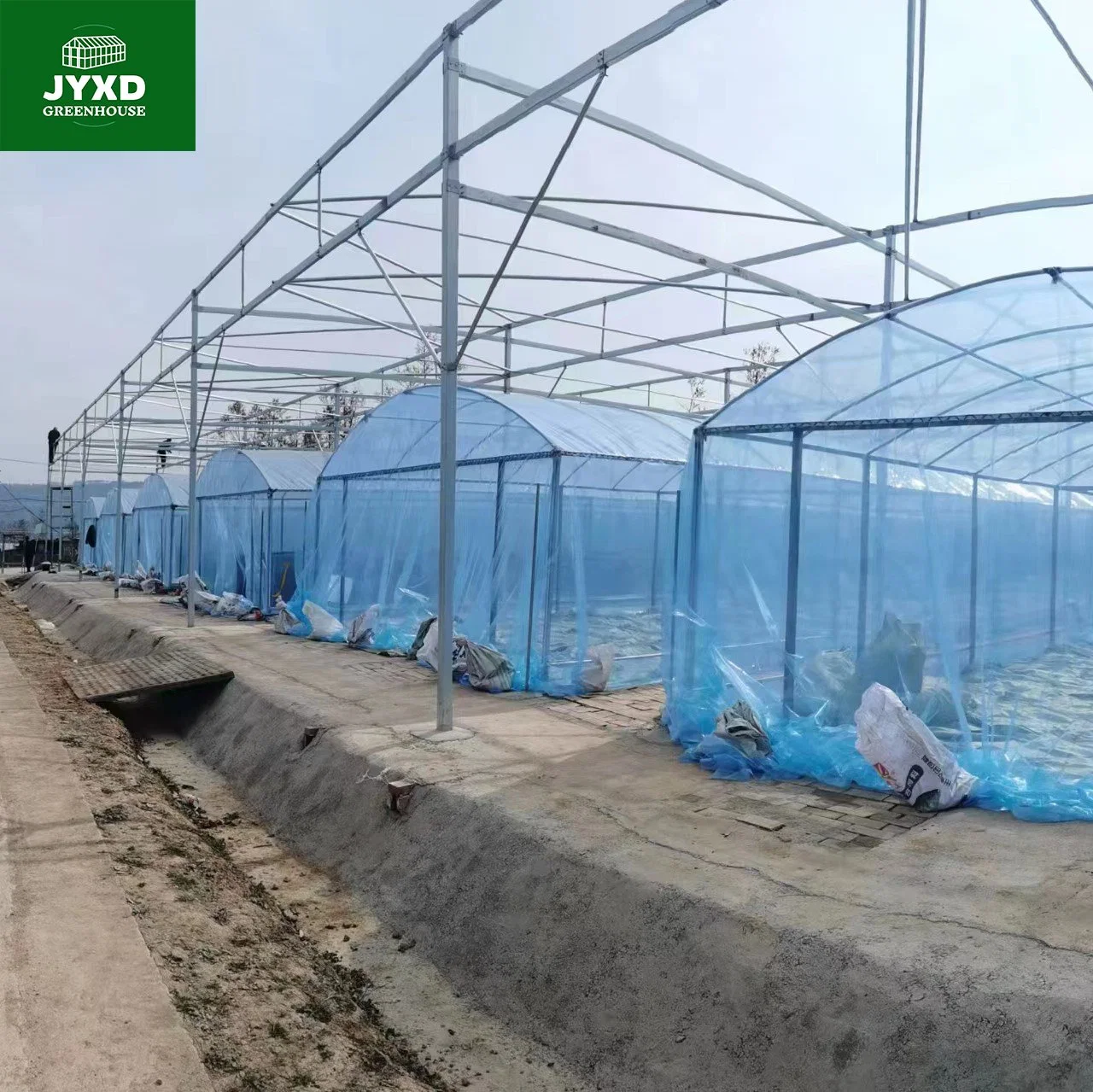 Plastic Film Multi-Span Greenhouse with Hydroponics System for Vegetables/Fruits/Flowers/Cucumber/Lettuce/Pepper/Strawberry/Blueberry