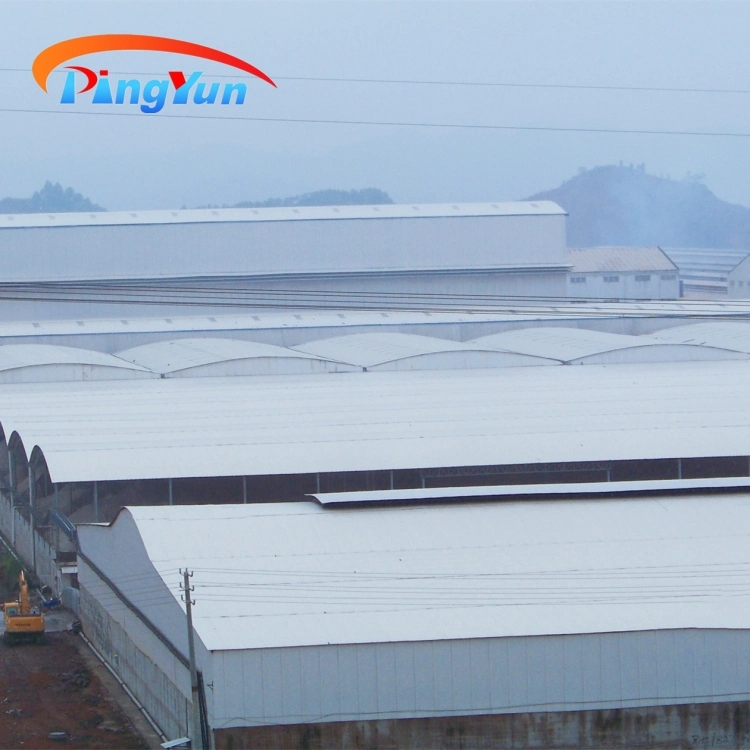 PVC Roof Covering Material Sound Insulation Plastic Roof Panel for Workshop