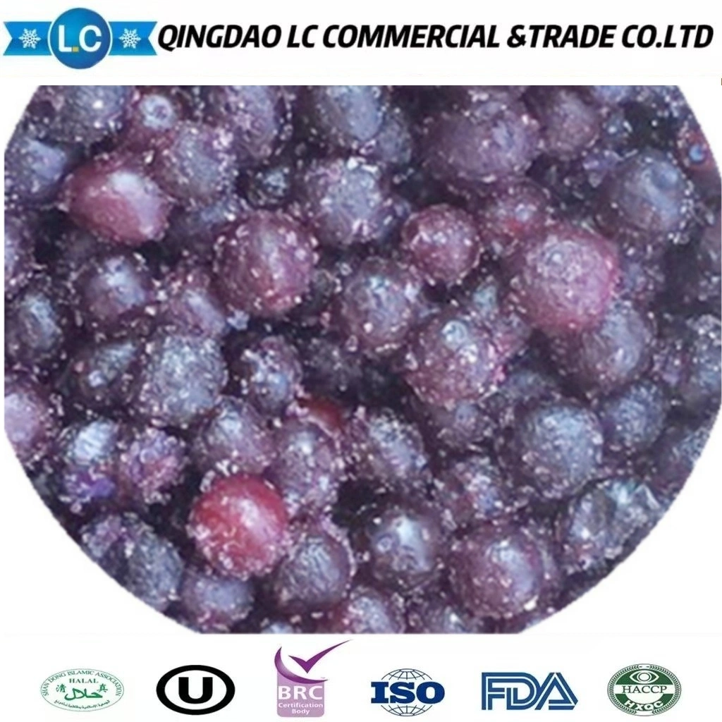 Marcas chinas fruta a granel cultivada de alta calidad Azulejos congelados IQF Precios de arándanos silvestres