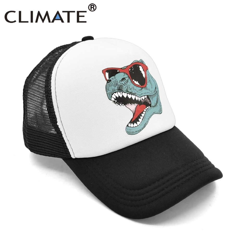 Wholesale/Supplier Funny Cool Unisex Trucker Baseball Sport Cap Hat