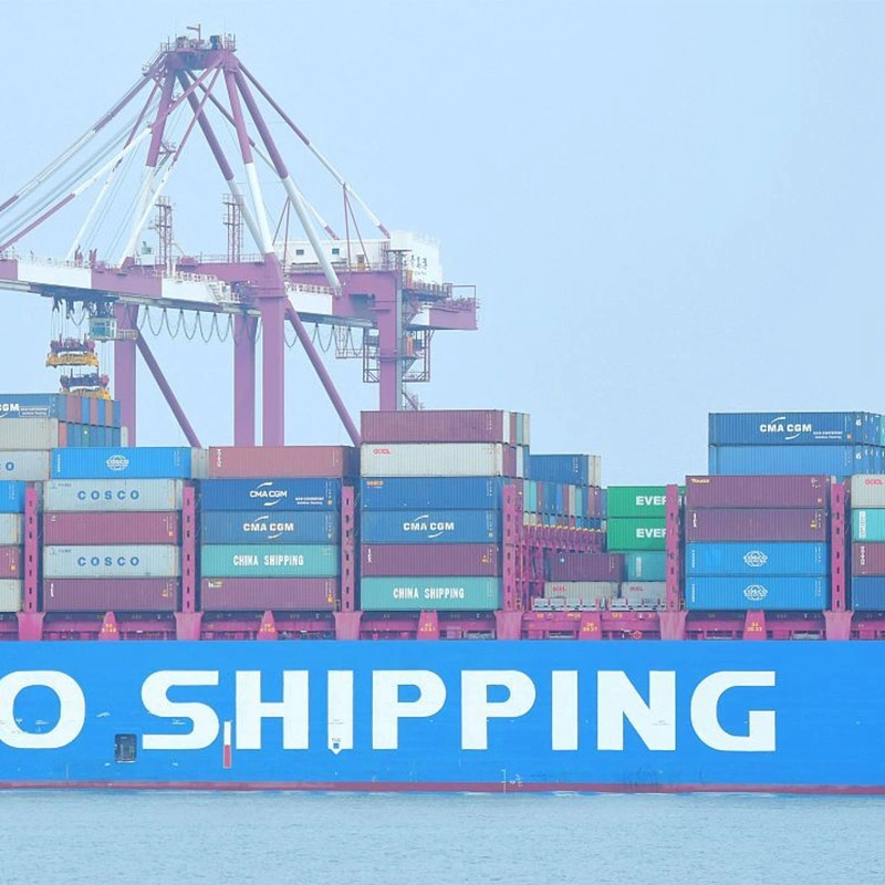 Liquid Shipping Company Delivery Service Sea Freight From China to Canada