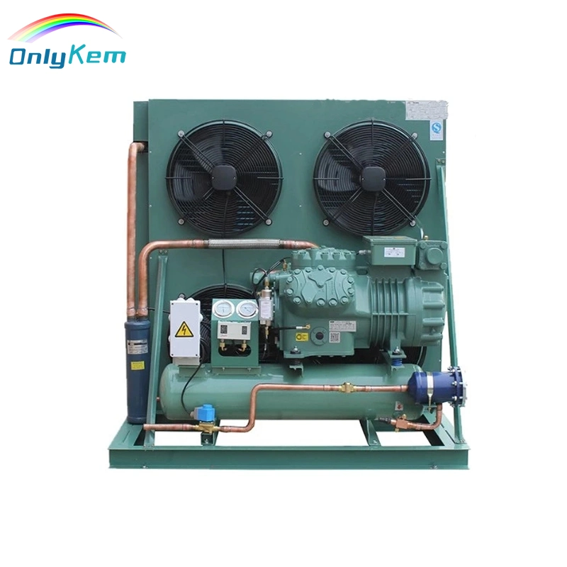 Air Cooled Condenser for 2HP/3HP/10HP Condensing Unit Cooler Cold Room Walk in Freezer