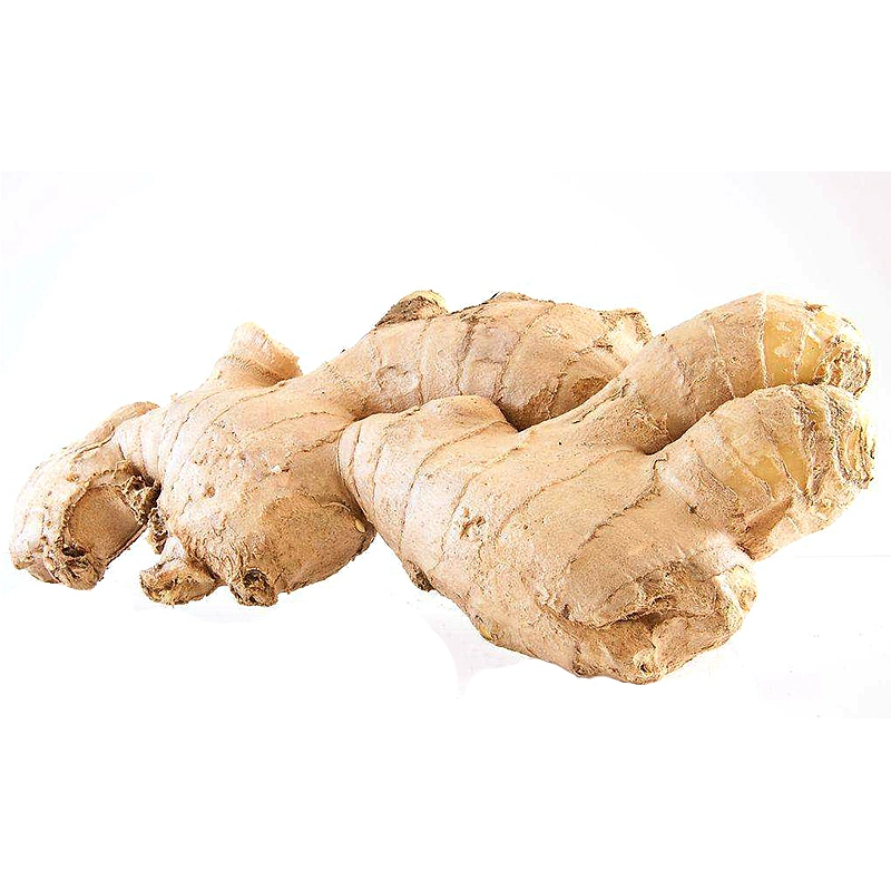 Super Quality Chinese Fresh Ginger to Canada Market