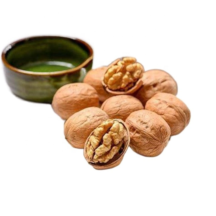 Buy Light Walnut Kernel Whole Without Skin