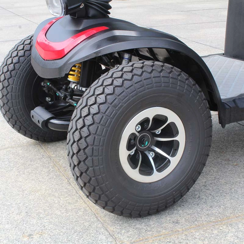 Custom 3 Wheel Electric Scooters for Elderly (DL24800-1)