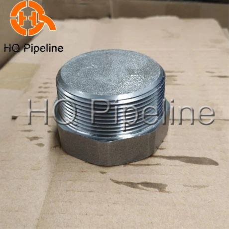 High Pressure Pipe Fittings A105 Forged Carbon Steel Hexagon Plug