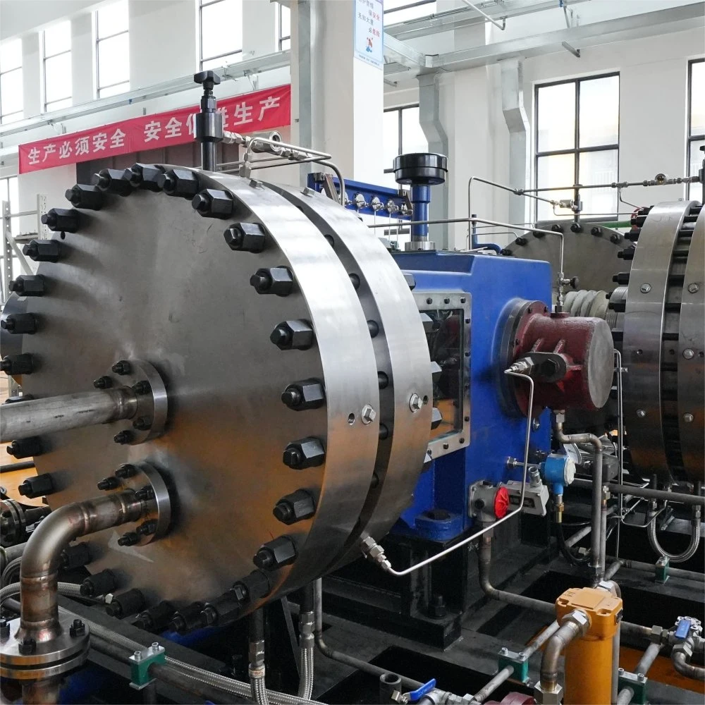 Chemical Industry Oil-Free High Capacity Purity Pressure Piston Reciprocating Diaphragm Gas Compressor