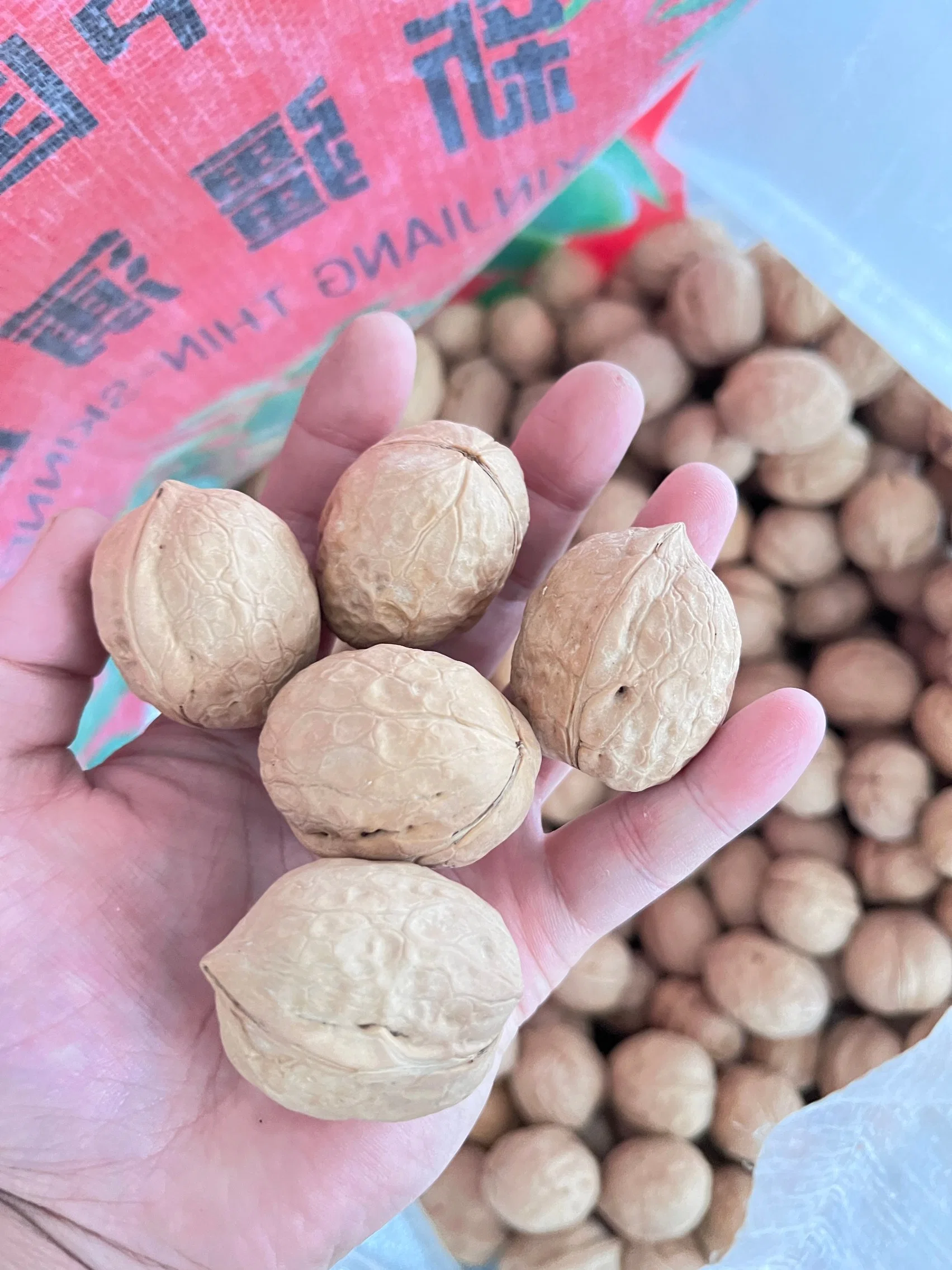 Big Size 36mm+ Washed Xingfu Xinfeng Walnuts Inshell