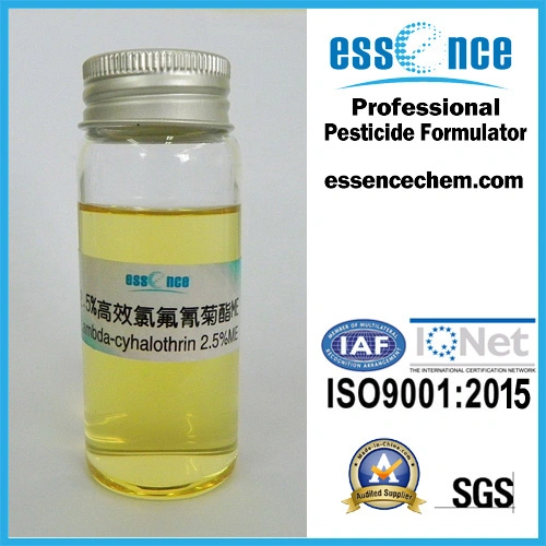 CAS: 91465-08-6 Insecticide Pesticide 2.5%Me Lambda-Cyhalothrin Pest Control Lambda Cyhalothrin