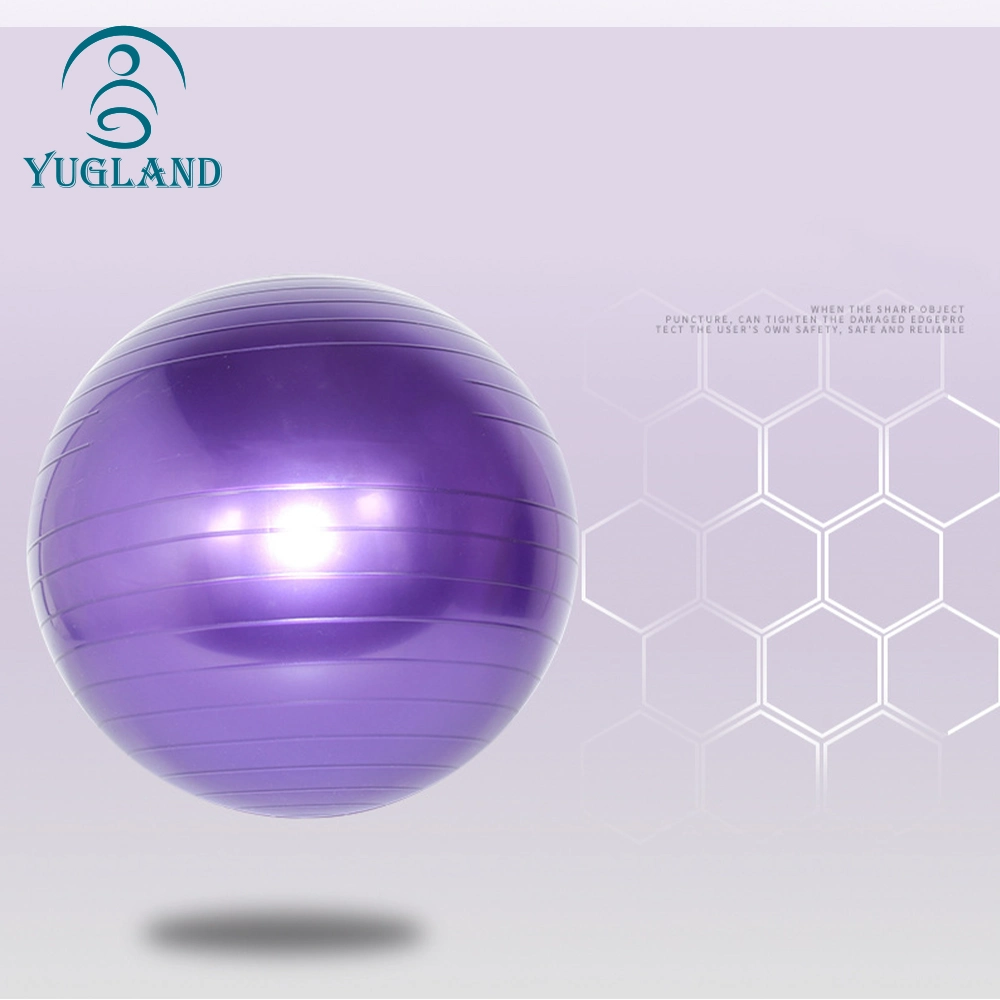 Yugland entrenamiento gimnasia ecológica 65cm Gimnasio Ejercicio yoga Ball