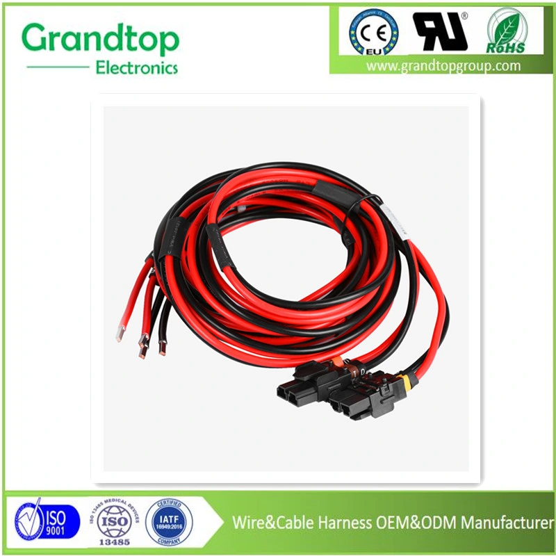 Wholesale/Supplier Power Adaptor Electric Cable Harness Switch to Connector Car Engine Automobile in China