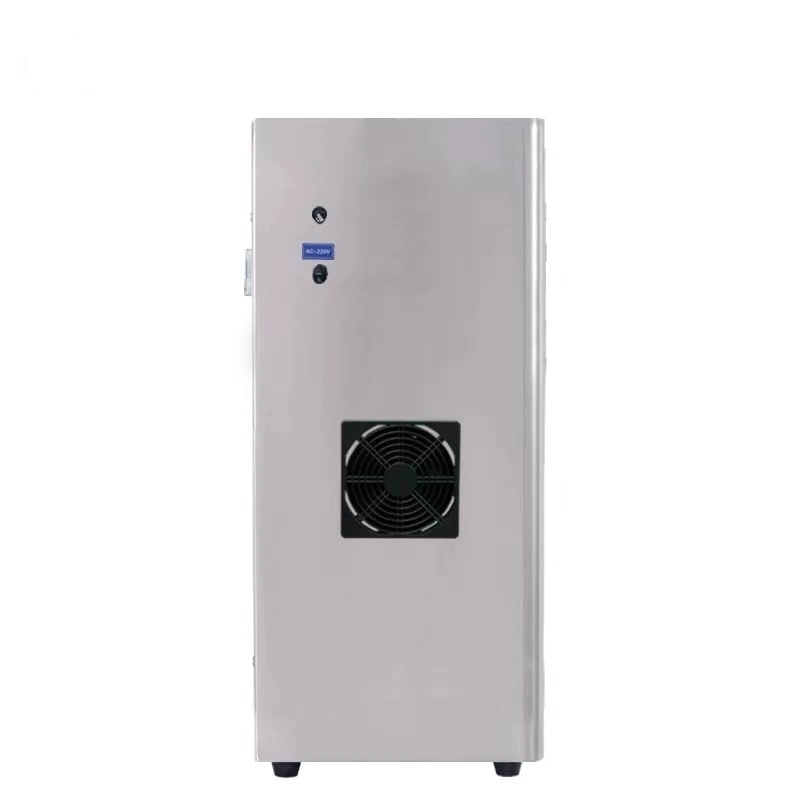 Swimming Pool 3~15g/Hours Ozone Generator Disinfection Machine