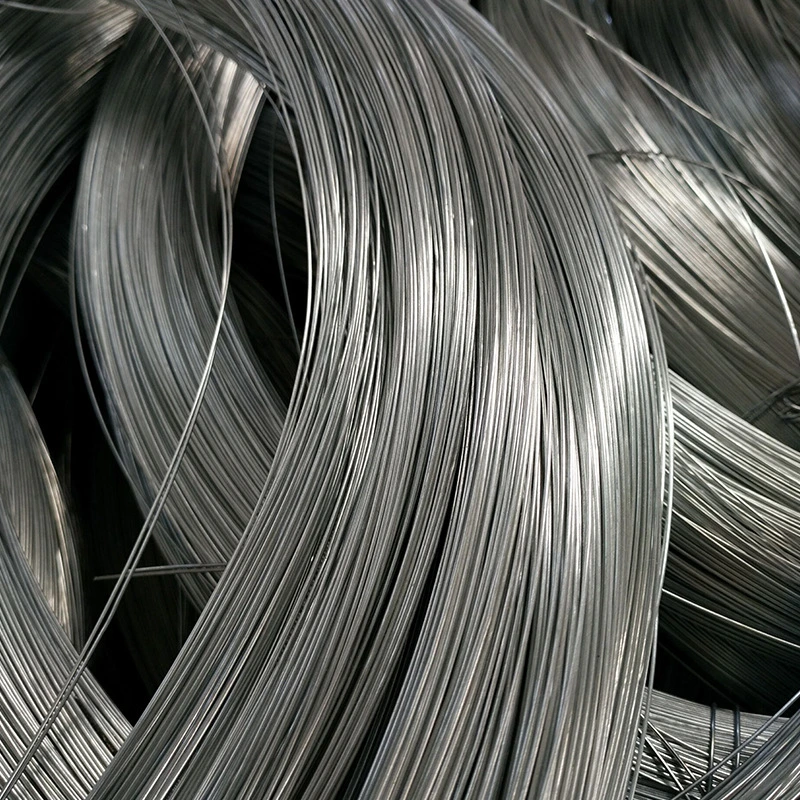 Low Carbon Steel Wire Hot Dipped 5.5mm Spring Wire SAE1008b SAE1006 S45c 10# 1010 Q235 Q195 77b 82b Swrm Stkm11A Galvanized Metal Nail Wire Bar Rod in Coils