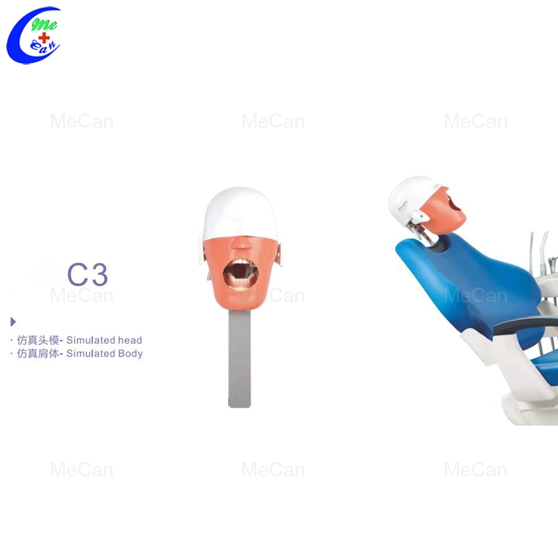 Simulated Head and Body Simple Dental Simul Ator Series