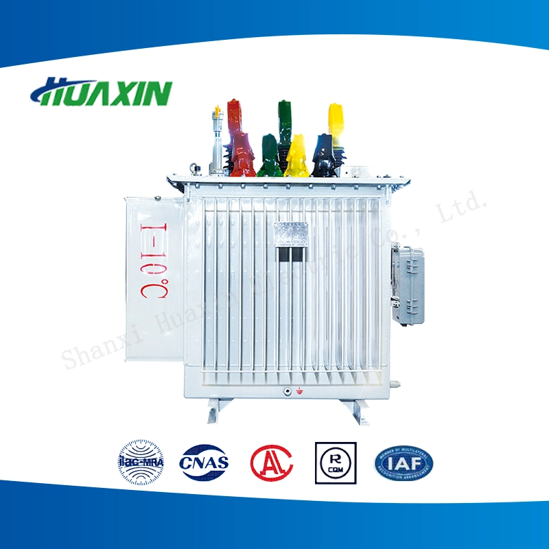 Low-Loss Oil-Immersed Load Capacity and Voltage Distribution Power Transformer
