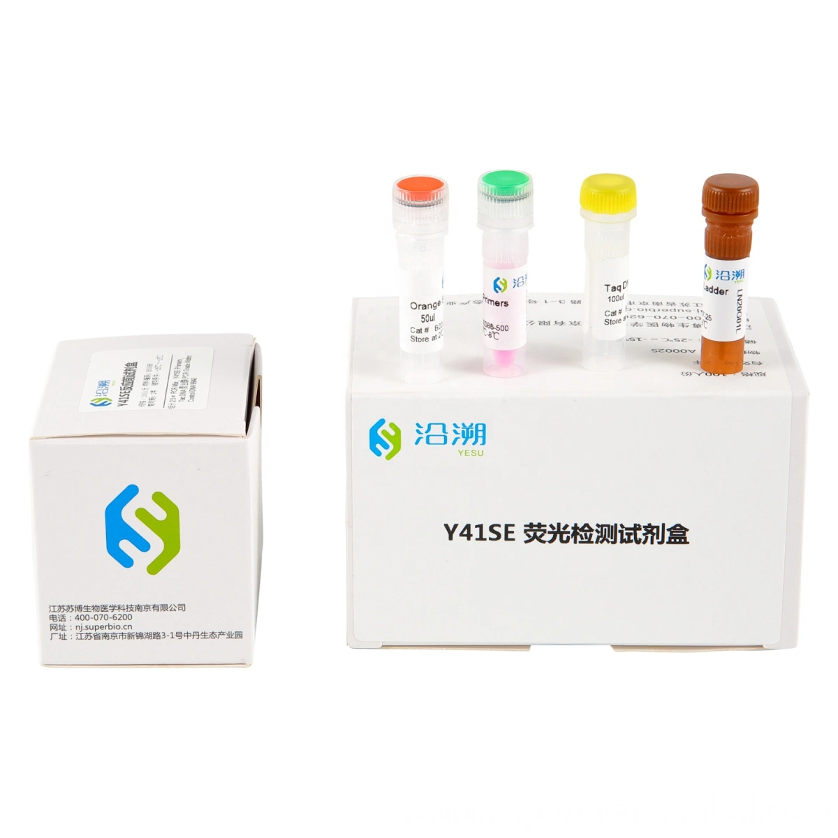 Y-Str Reagent Kit for Database