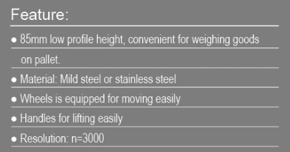 Lp7630 Digital Weighing Beam Electronic Floor Platform Scale