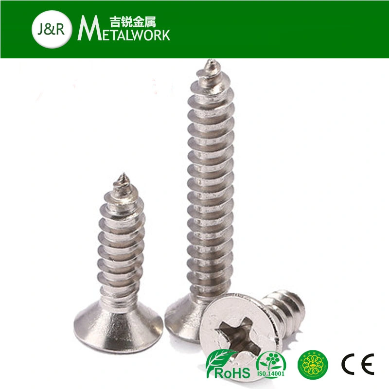 A2 A4 Stainless Steel SS304 SS316 Self Tapping Screw