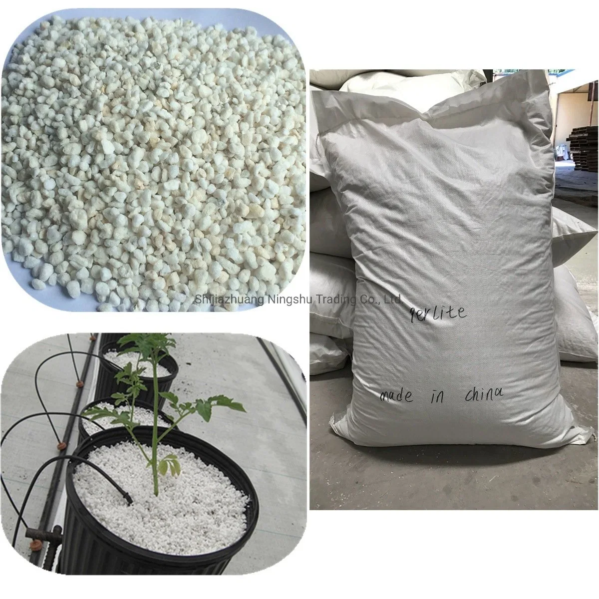 Natural Organic Perlite - Enhanced Drainage for Best Growing