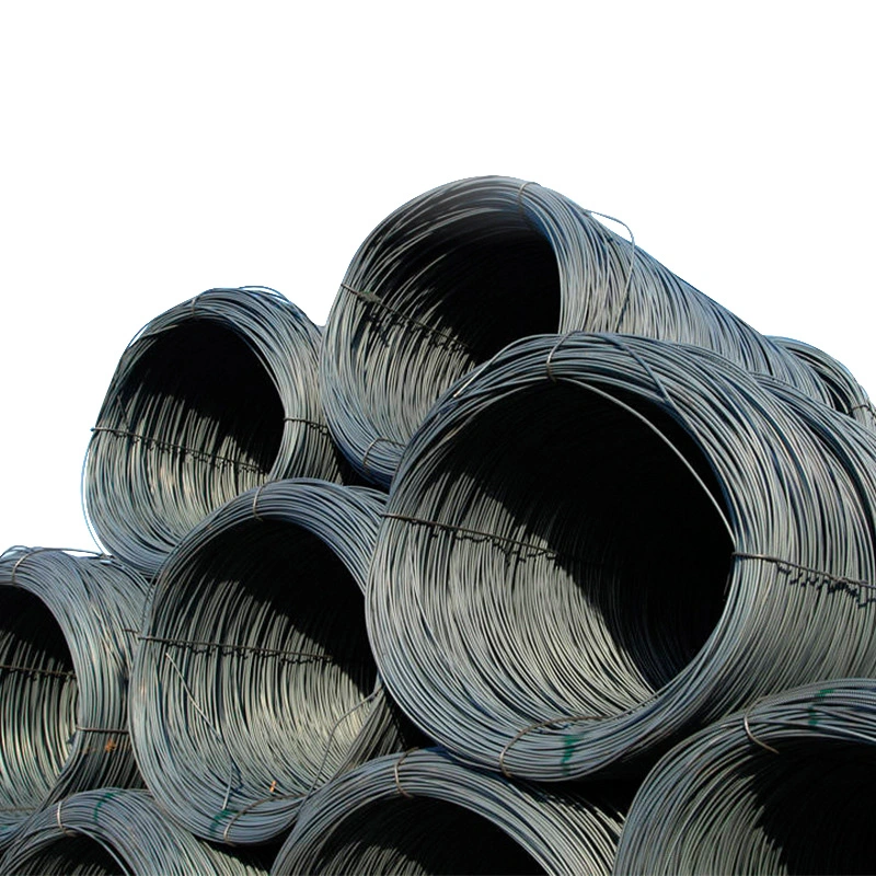 5.5mm Spring Wire SAE1008b SAE1006 S45c 10# 1010 Q235 Q195 77b 82b Swrm Stkm11A Low Carbon Steel Wire Hot Dipped Galvanized Metal Nail Wire Bar Rod in Coils