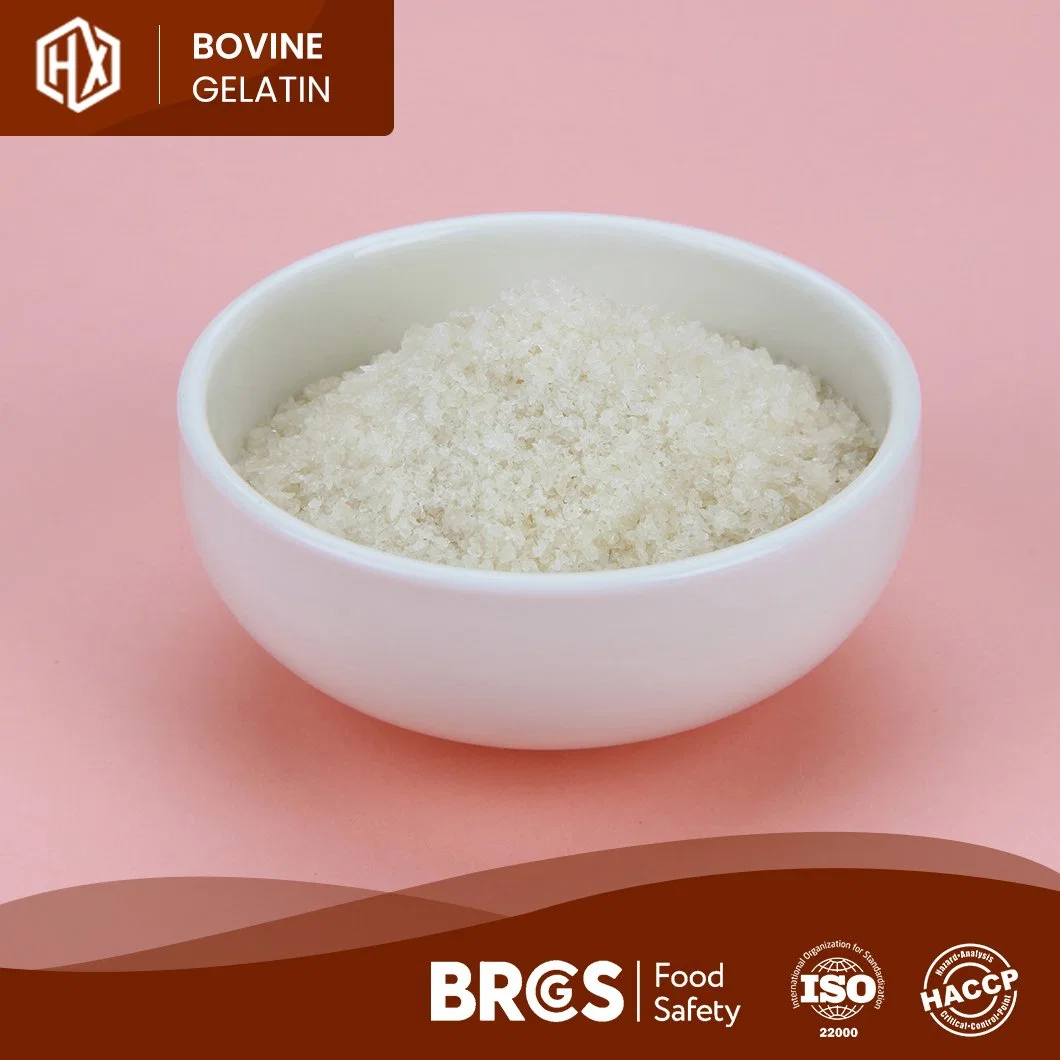 Haoxiang High-Quality Pharmaceutical Bovine Skin Gelatin Powder Free Sample Food Bovine Skin Gelatin China Manufacturer Ready to Ship Halal Bovine Skin Gelatin