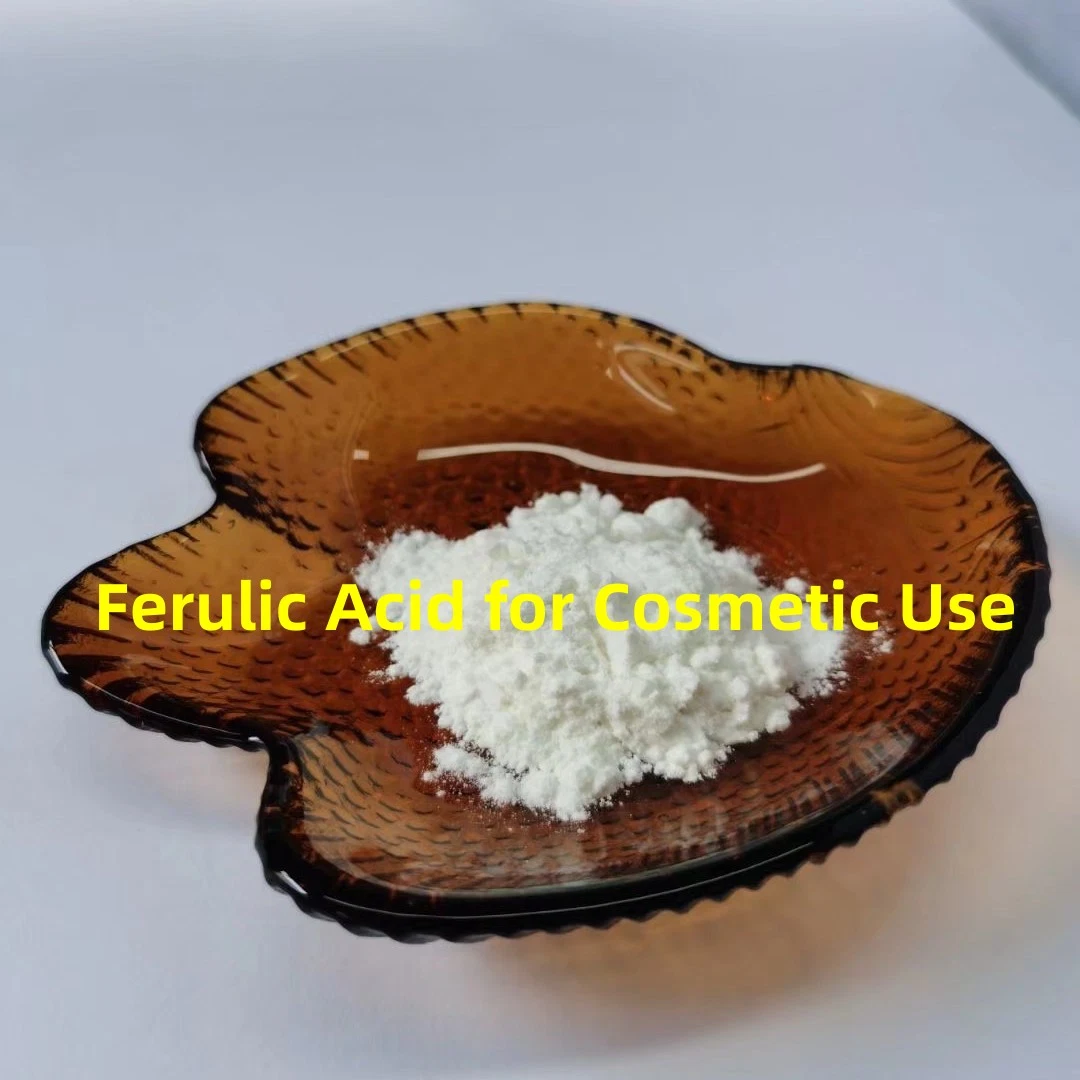 Pure Trans Ferulic Acid Raw Material for Cosmetic Use CAS 537-98-4