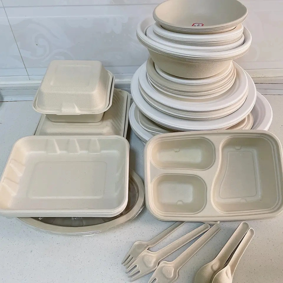 Disposable Sugarcane Bagasse Plate Tray Natural/White Color