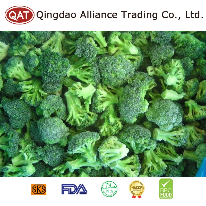 New Season Low Price No Worm IQF Broccoli Vegetables Frozen Broccoli Floret