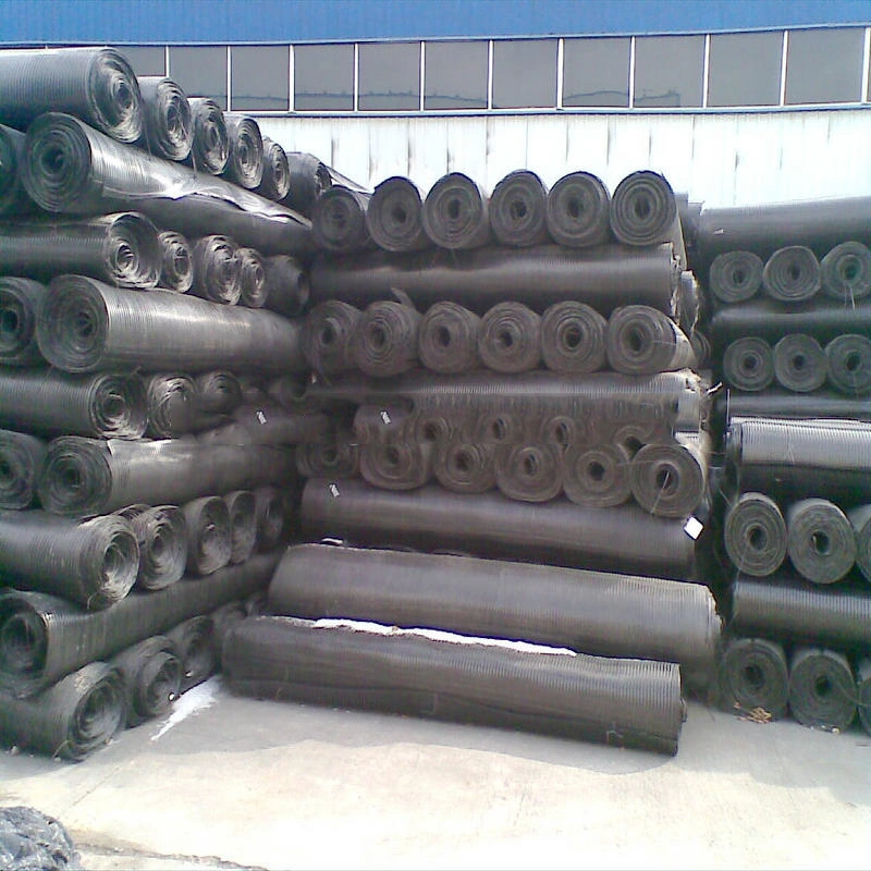 Wholesale/Supplier Uniaxial Plastic Geogrid Made in China