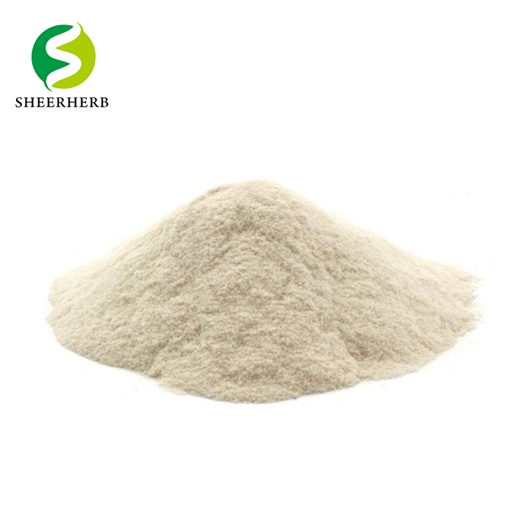 High Purity Food Ingredient Organic Xanthan Gum Pure Xanthan Gum