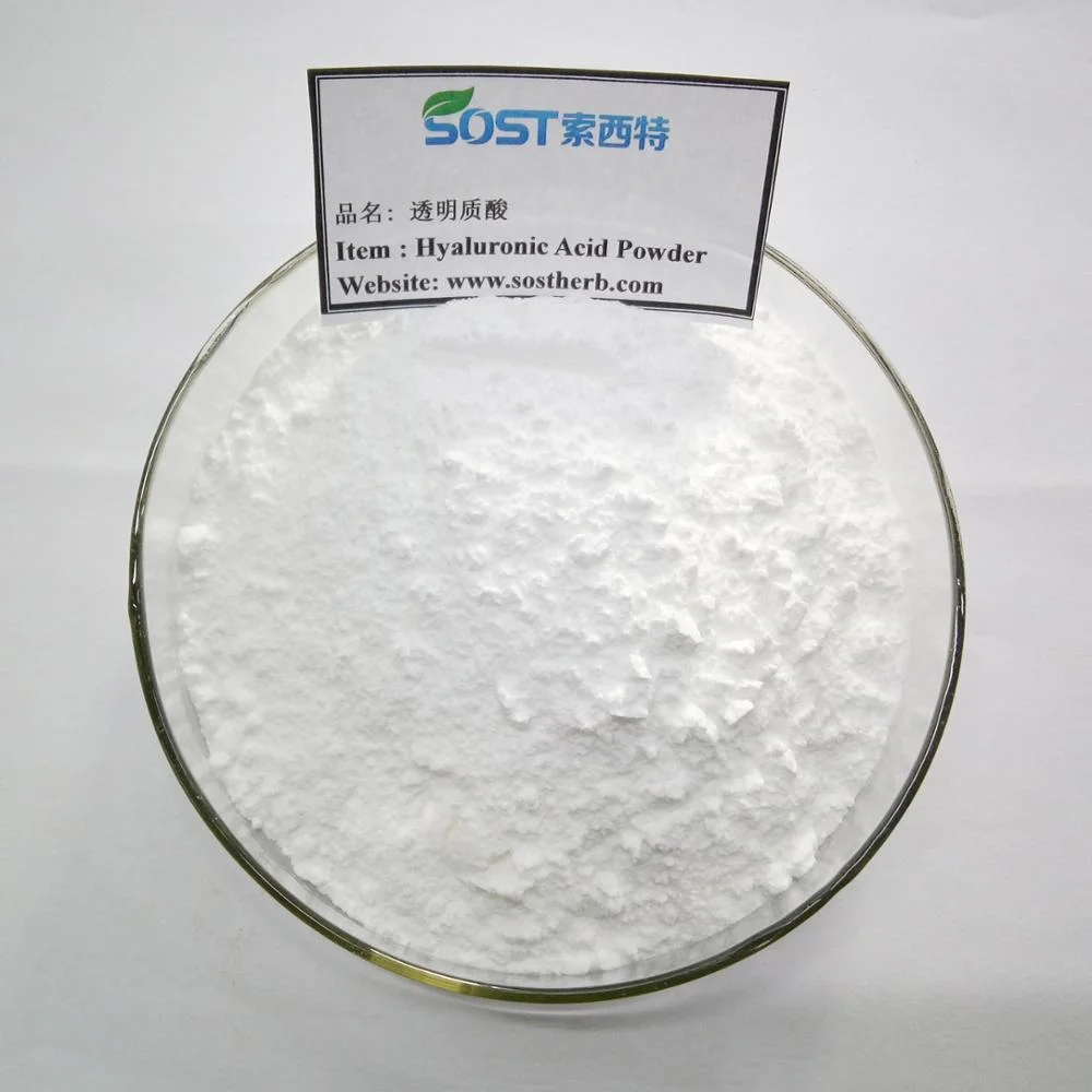 SOST High Purity  Hyaluronic Acid Sodium Hyaluronate Powder