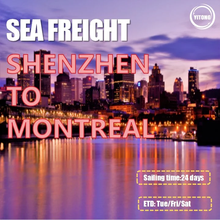 Ocean Freight Shipping From Shanghai to Ottawa Calgary Vancouver