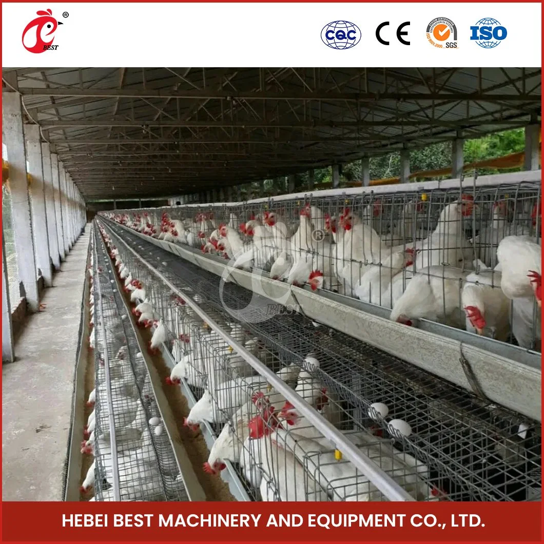 Bestchickencage China a Frame Chicken Layer Coop Factory OEM Custom Poultry Layer Chicken Cage for Poultry Farming Configuration Chicken Coop Floor