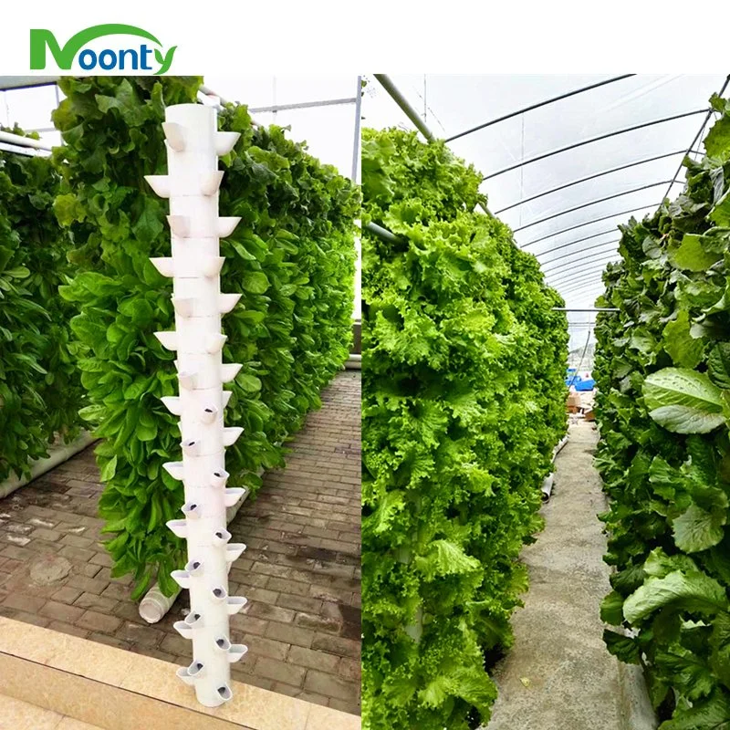 Vertical Farming Indoor Hydroponics Growing System for Lettuce/Vegetable/Crops Planting