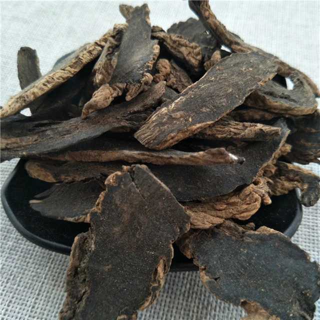 Chinese Herbal Pure Figwort Root Radix Scrophulariae Extract