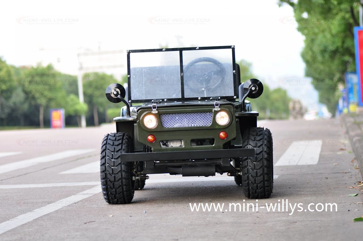 Discount Kids Petrol Go Kart Cars Factory Price 110cc 125cc 150cc Mini Willys on ATV Land Cruiser