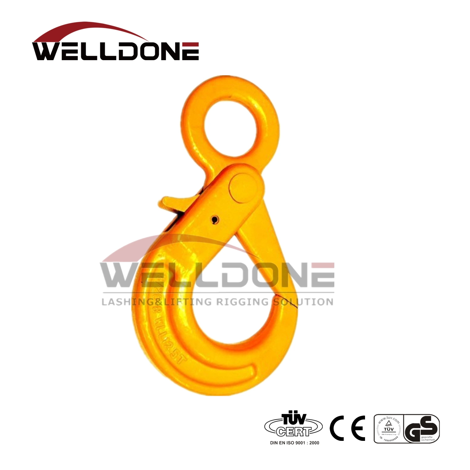 Hot Sale Factory G100 G80 Eye Sling Hook with Latch for Lifting Chain