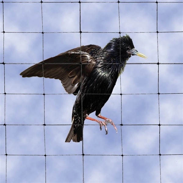 316 гибкий проволочный трос из нержавеющей стали X-клоунный зоопарк Mesh Попугай Aviary Bird Net